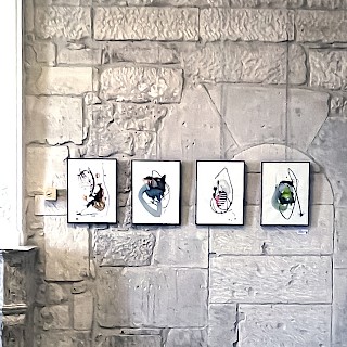 Gallery image 1